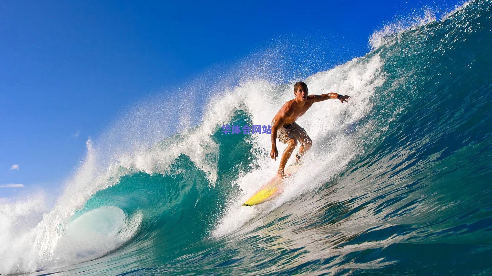 勇士后院要起火？快艇或趁火打劫交易追梦·格林